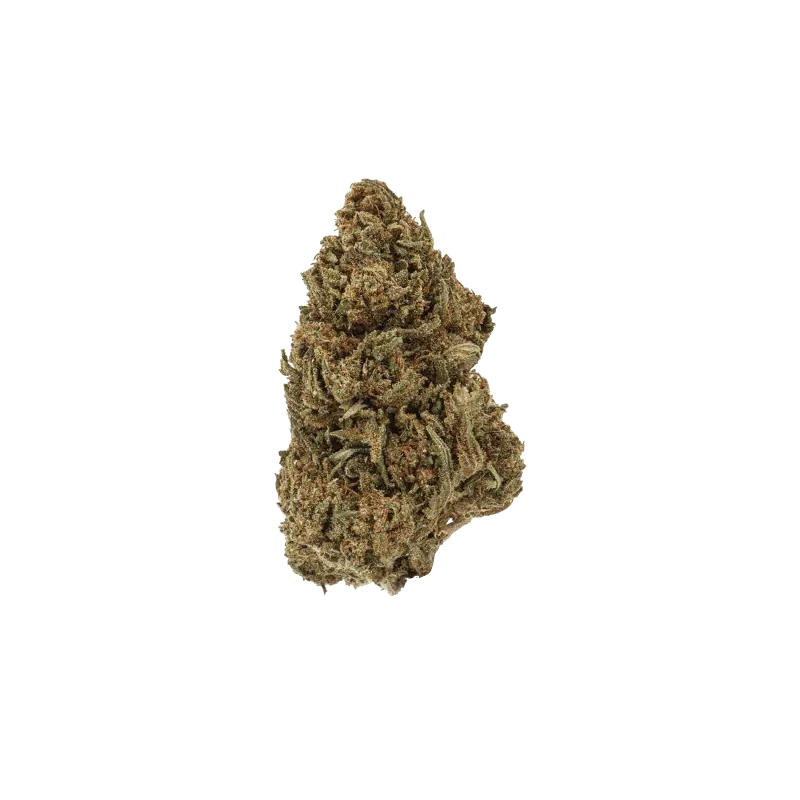 fleurs-cbd-mimosa-greenhouse fleurs-cbd-mimosa-greenhouse - SEO-EHO agence SEO et design immersif